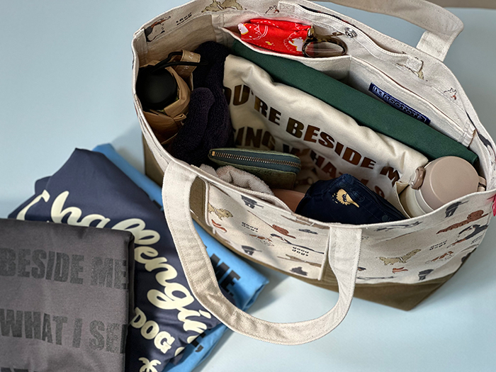 ミディアムサイズに一泊分のお泊りセットを入れた写真