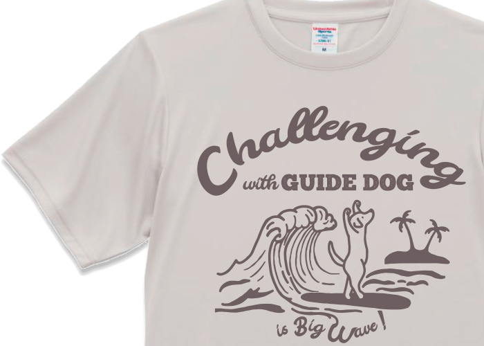 フロストグレーのTシャツアップ写真