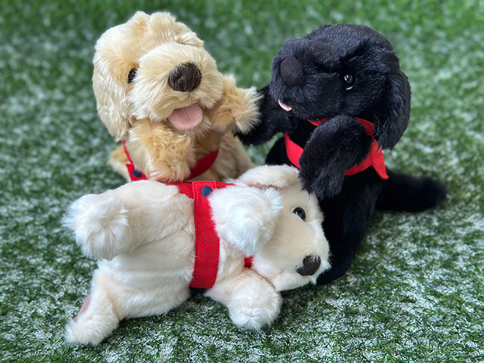 3種のぬいぐるみがじゃれている写真