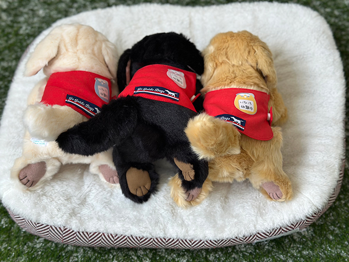 3種のぬいぐるみが肉球を見せてうつぶせになっている写真