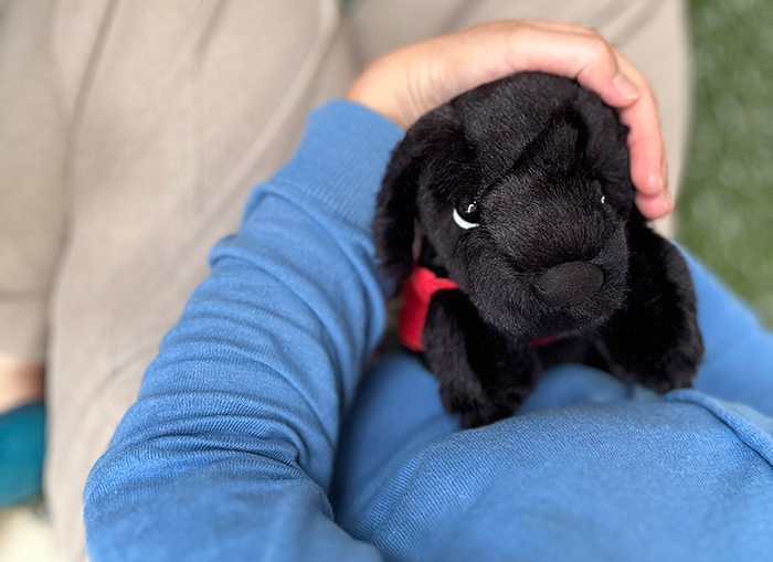 ギューと抱きしめている写真