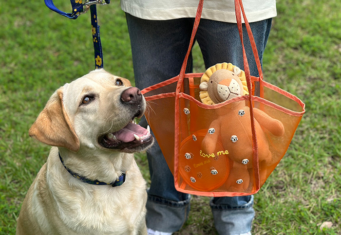 ラブラドールが笑顔でバッグにはお気に入りのおもちゃが入っている写真。