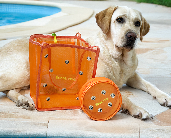 ラブラドールの前にお揃いのポーチとバッグが並んだ写真。