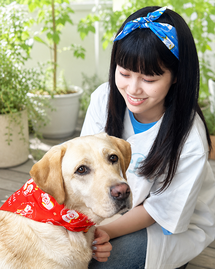青のハンカチを女性の頭に巻き赤のハンカチをラブラドールの首に保冷剤を入れて巻いている写真