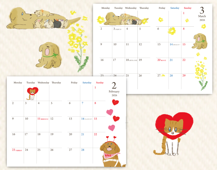 中身のデザインの写真