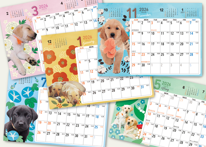 カレンダーに使われた写真。