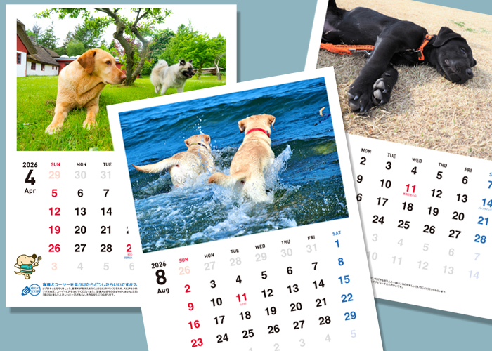 壁掛け】2026年写真deうちの子チャリティーカレンダー