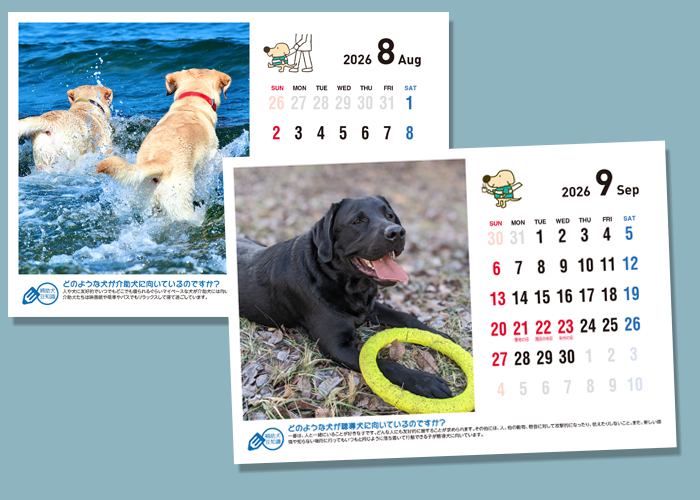 我が家の可愛い犬の写真で作った卓上カレンダー