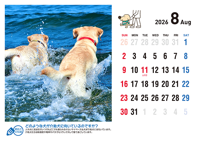 ８月に入れ込んだ写真のカレンダー写真