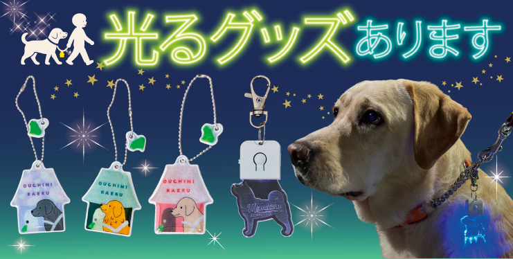 夜の散歩も光って安心安全