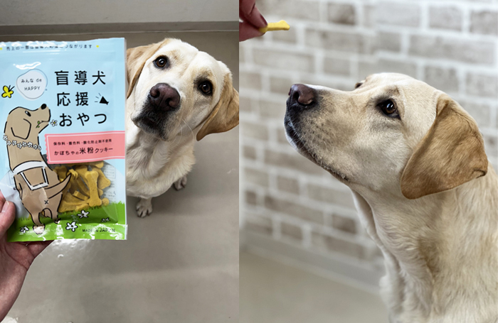 犬にクッキーをあげている写真