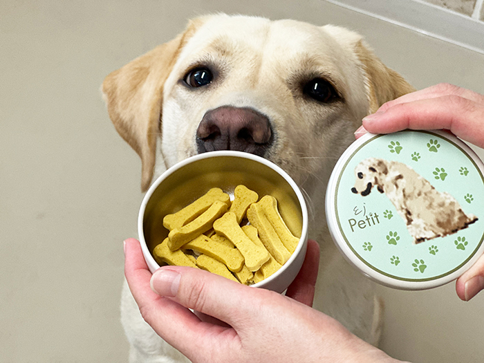 手に持ってるクッキー入りの缶をラブラドールがのぞき込んでいる写真