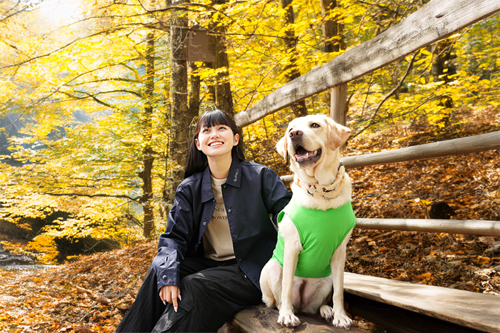 女性がベージューのジャケットを着用し、海辺でラブラドールと座っている写真