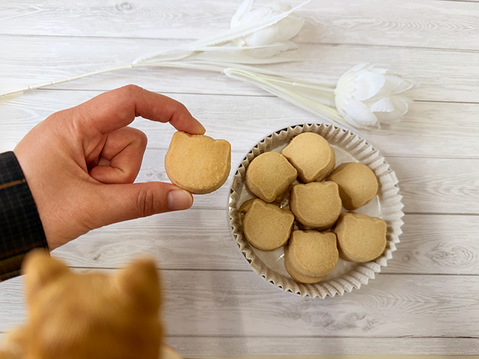 塩バターのねこ型クッキーを指でつまんでいる。それを猫がこっそり見ている