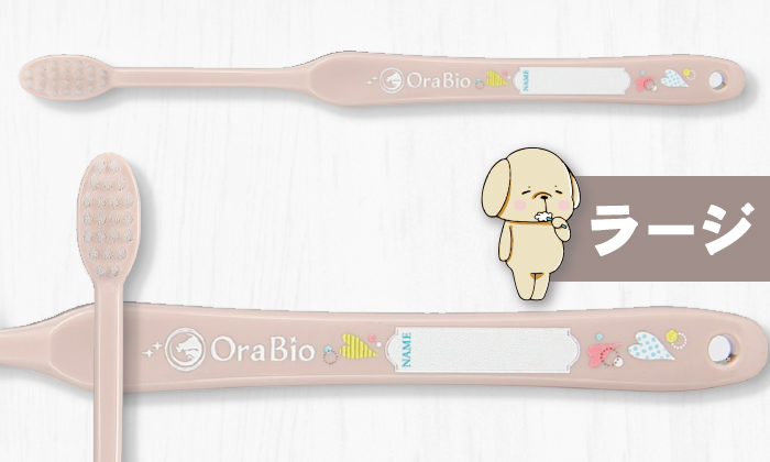 ラージサイズのヘッドのアップ写真