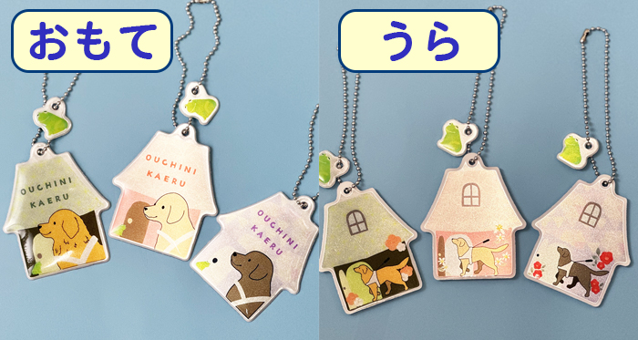 表と裏、光を当てて光っている写真