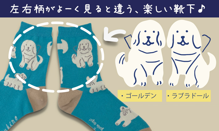 片方はゴールデン、も負う片方はがラブラドールの盲導犬のイラスト