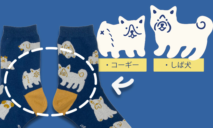 片方はコーギー、もう片方はが柴犬のイラスト