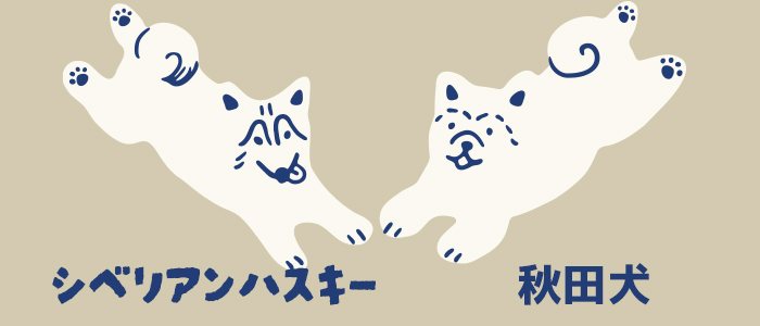 片方はシベリアンハスキー、もう片方はが秋田犬のイラスト