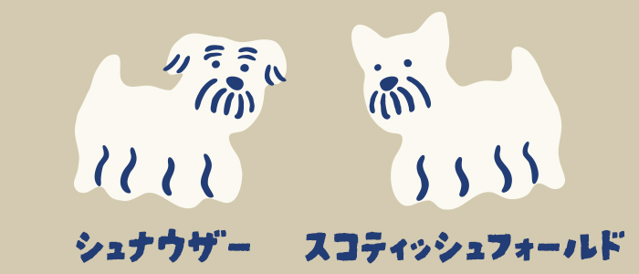 片方はシュナウザー、もう片方はがスコティッシュフォールドのイラスト