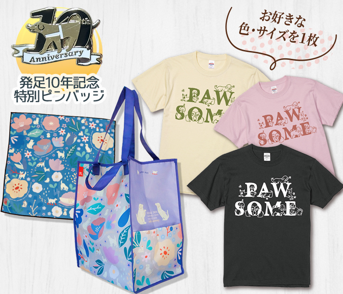 ファンクラブ発足10年記念特別ピンバッジ、ファンクラブTシャツ、保温保冷のできるセルフレジトート、くっつく保温保冷くっつくバンダナのフルセットの写真