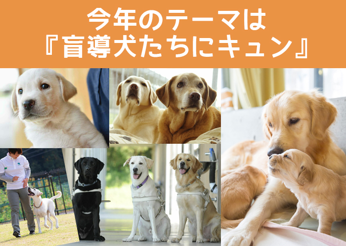 今年のテーマは『盲導犬たちにキュン』。盲導犬をはじめパピーや訓練犬、引退してゆっくりしている犬たちの写真