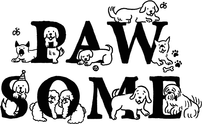 フロントのイラスト