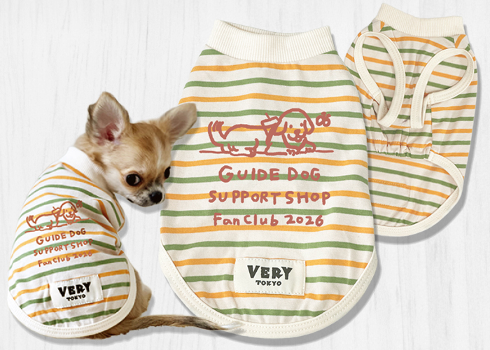 2号サイズの服をチワワが着ている写真