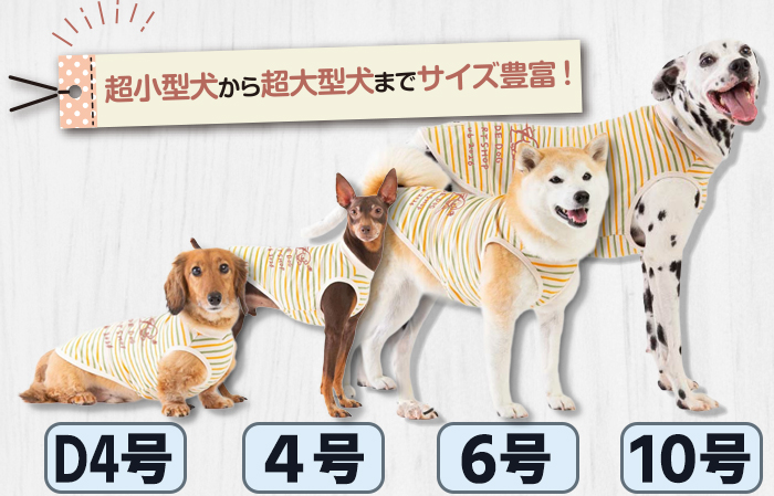 超小型犬から超大型犬までサイズ豊富、それぞれの体系の子がワンTを着用している写真