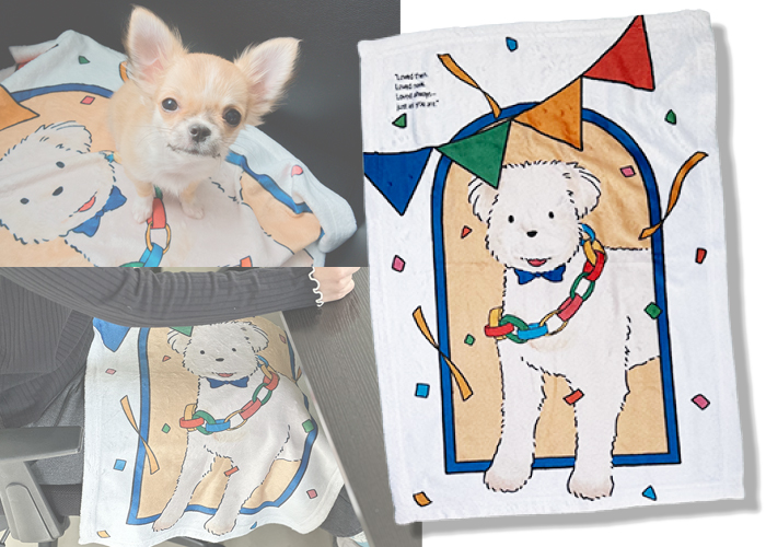 ミニブランケットの写真ひざ掛けにしたり、赤ちゃんやペットの防寒にも