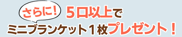 ５口以上でミニブランケットプレゼント