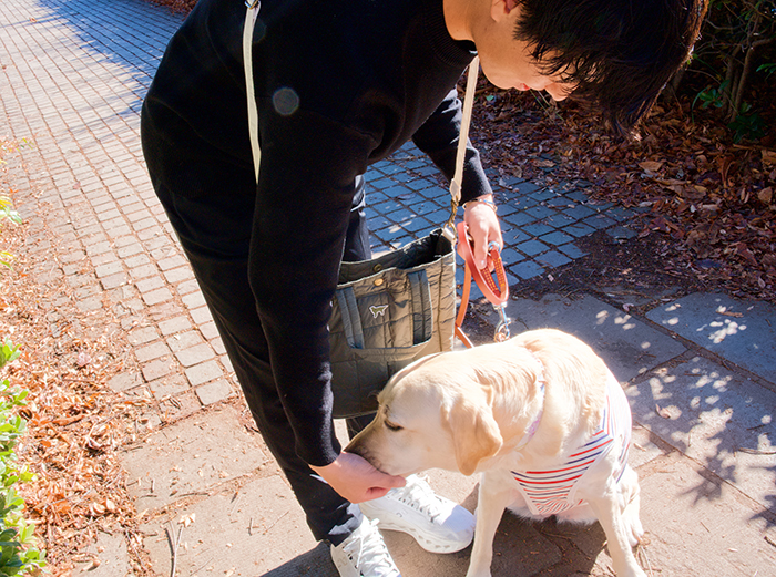 男性がラブラドールを撫でている写真