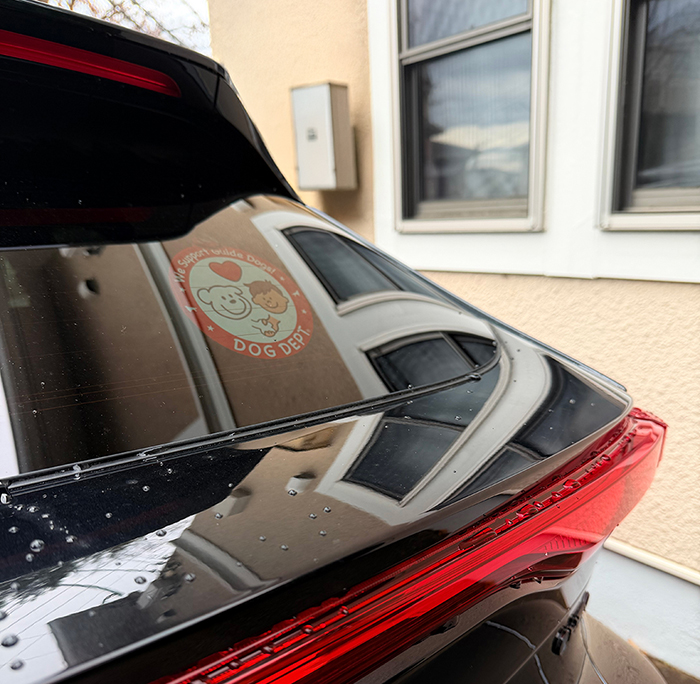 車のガラスの内側に付け、外から見た写真