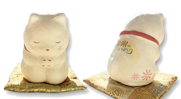 猫の正面と背中側の写真