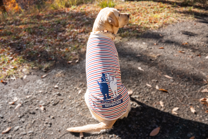 ラブラドールがお座りしている後ろ姿。