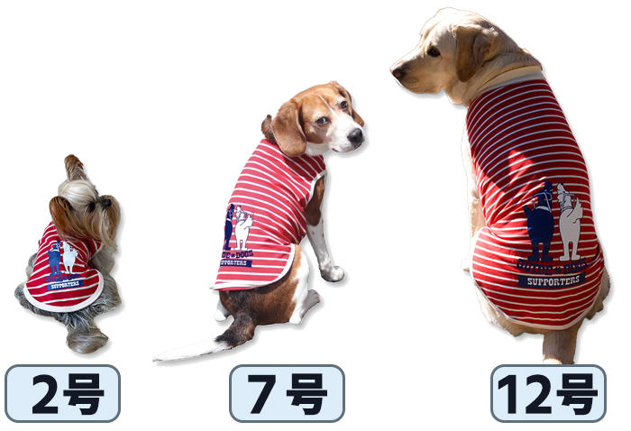 左から２号、7号、12号の着用写真