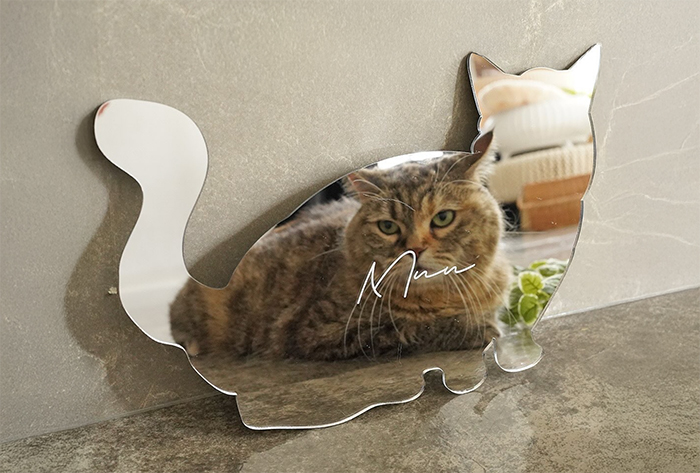 猫のシルエットの鏡に名前が刻印され愛猫が映り込んでいる写真