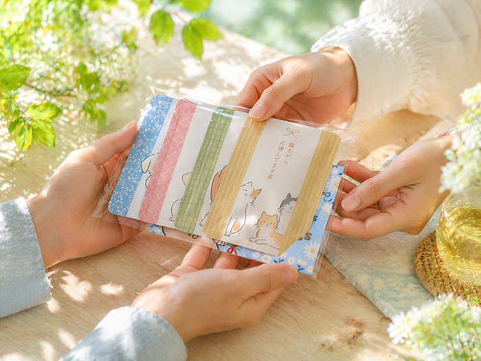 ラッピングされたセットを両手の手のひらに乗せている写真