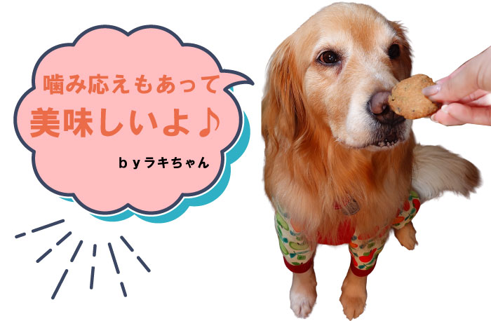 ゴールデンレトリバーにクッキーを手であげている写真