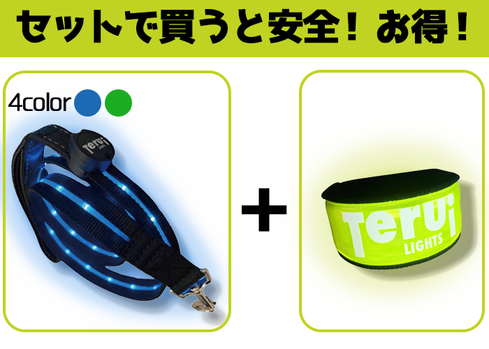 リードとアームバンドセットで買うと安全お得の写真