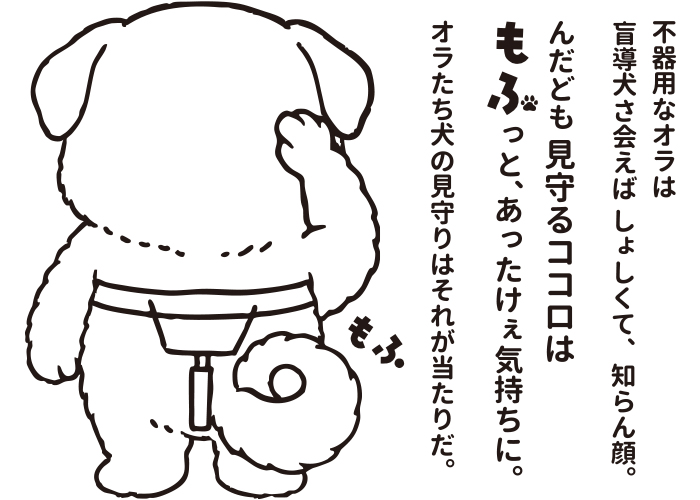 パッケージの裏の写真