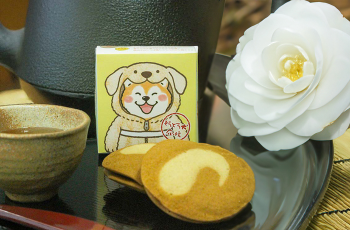 箱が2個並んでいる写真