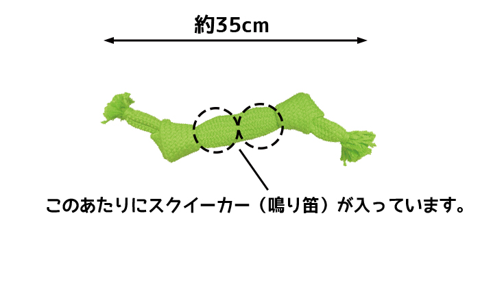 Mサイズは全長35センチ、スクイーカーが2個入っています