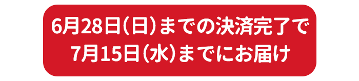6月28日（日）までの決済完了で7月15日(水）までにお届け
