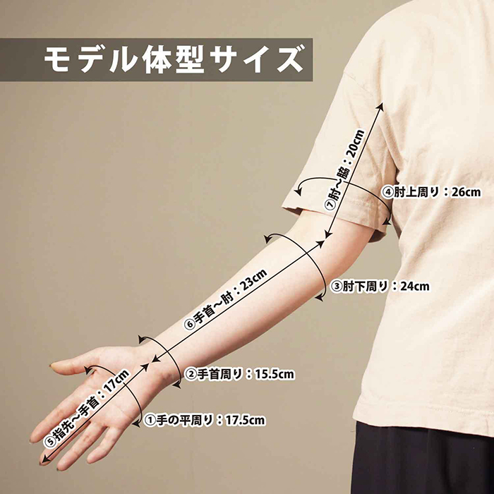 幅約９センチ円周約18センチ、伸ばすと最高約24センチ、長さ約15センチ