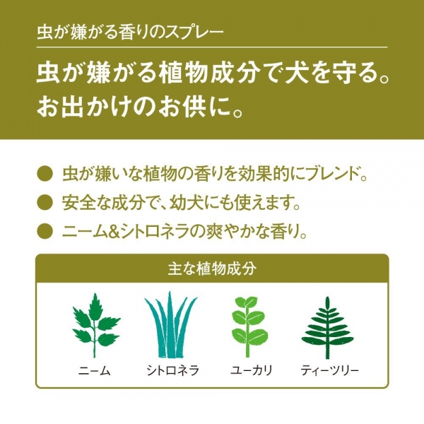 成分のイラスト